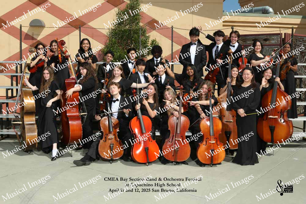 Musical Images